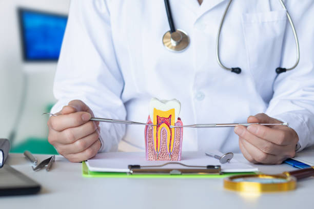 Best Emergency Dental Services for Seniors in South Kensington, MD